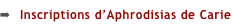 shapeimage_5_link_9
