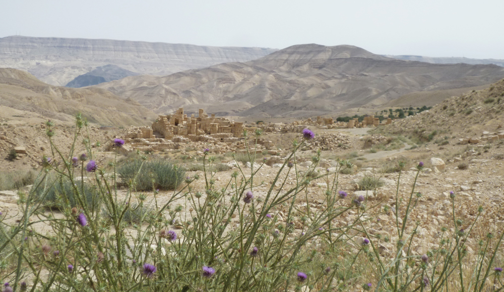 Dharih Jordanie 2013