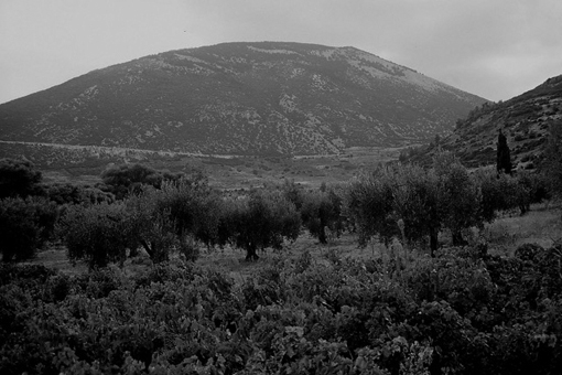 Thespies, l'Hélicon et le Val des Muses Thespies, l'Hélicon et le Val des Muses