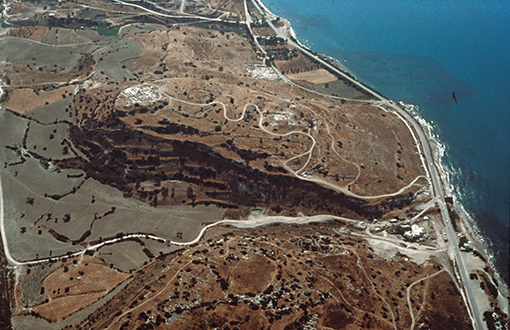 Amathonte