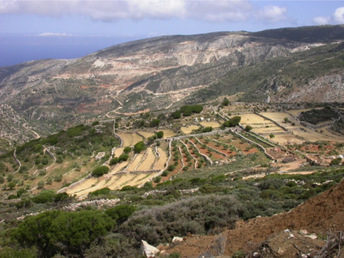 Naxos, Cyclades : Paysage agricole contemporain, exemple de polyculture méditerranéenne, cliché © M. Brunet