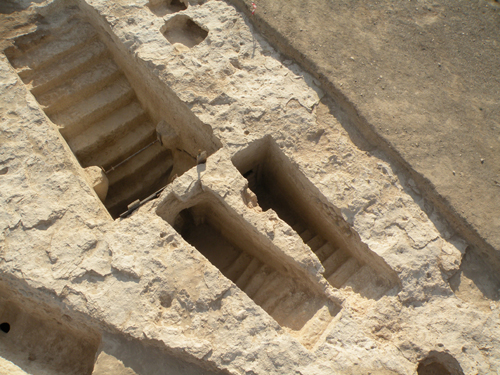 © Mission de Kition et Salamine