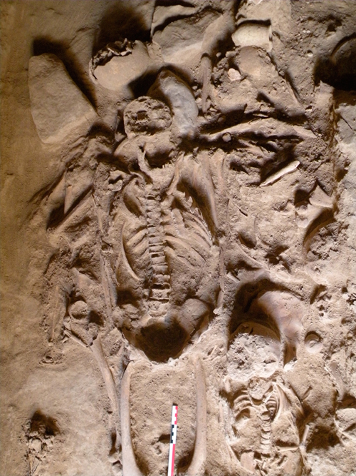 © Mission de Kition et Salamine