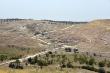Le site d’Abila de la Décapole (Quwayliba) © 2023 IGLS | CNRS Hisoma