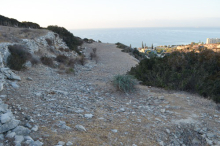 Vue de la Terrasse depuis le nord, 2024 (A. Cannavò, EFA / N1297-038)