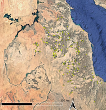 We found hundreds of huge ancient mass graves hidden in the Sahara desert