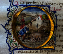 Columelle, De re rustica, II, Vallicelliana E 39, f 15v (détail), Biblioteca Vallicelliana, Rome