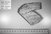 photo infra-rouge d'ostraca de Kition (A. Rabot)