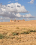 le fort romain de Qaṣr Bashīr dans le pays de Moab (photo Julien Aliquot 2024 © CNRS Hisoma, archives IGLS).